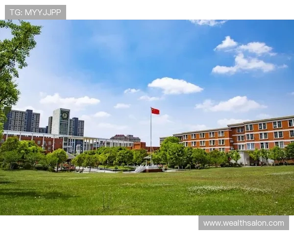 南京飞盘队防反战术创新探索与实践全景分析