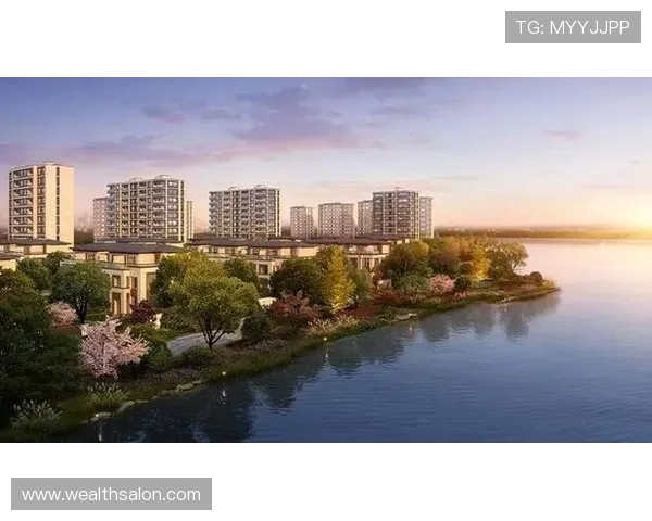 赵军独家分享飞盘技巧与心得助你提升运动水平与乐趣